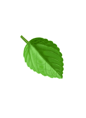 Decorative leaf